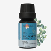 100% pure Eucalyptus Essential Oil - Pure Eucalyptus Oil - Dazze and blussh 