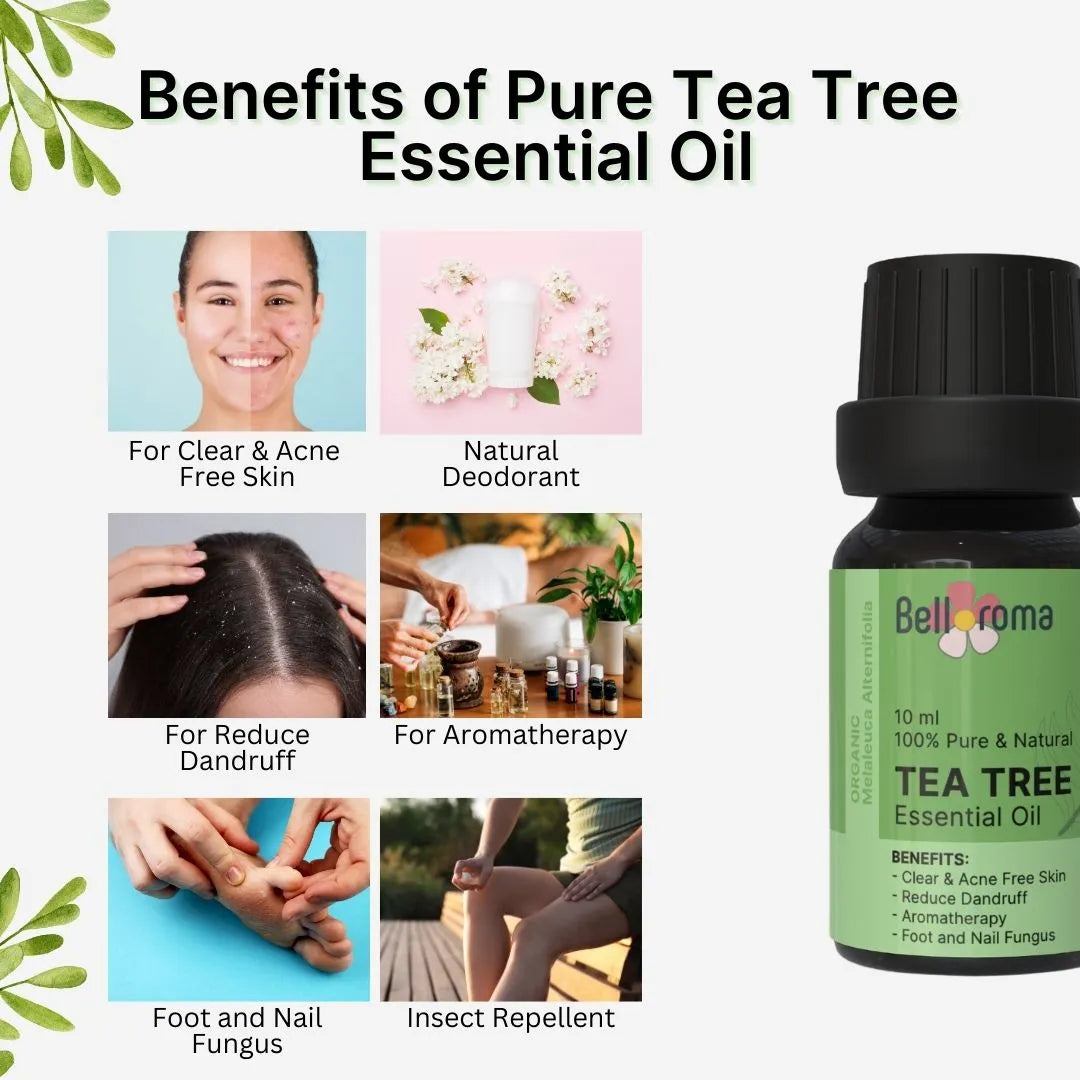 100% pure Tea Tree Essential Oil Benefits - Pure Tea Tree Oil Benefits - Dazze and blussh