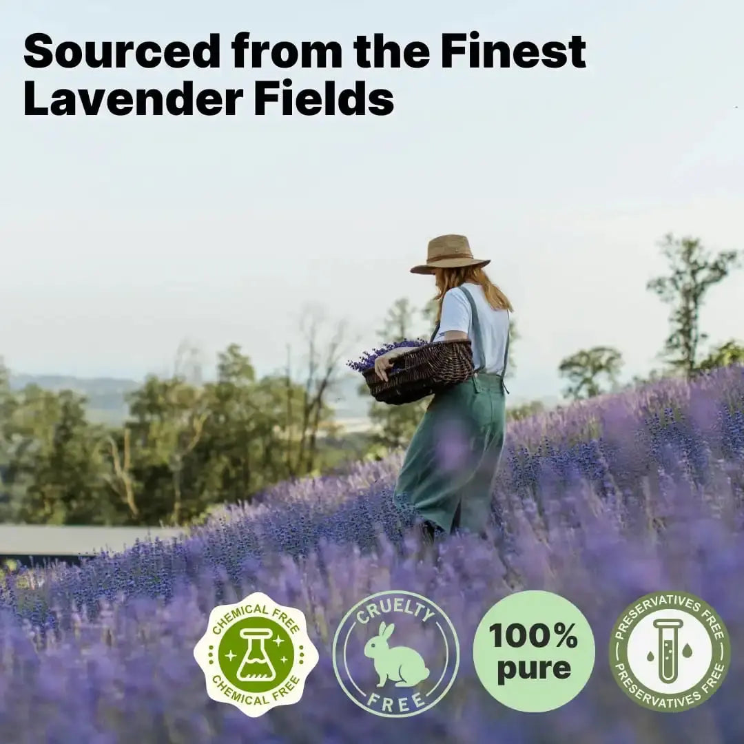 100% pure Lavender Essential Oil - Dazze and blussh